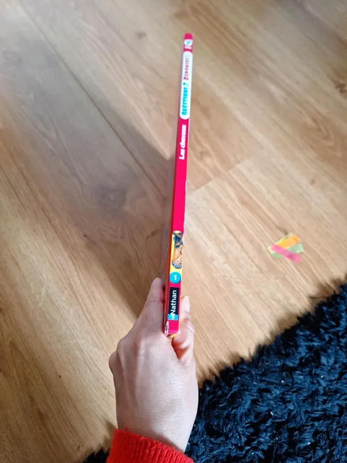 Livre sur les chevaux - photo numéro 2