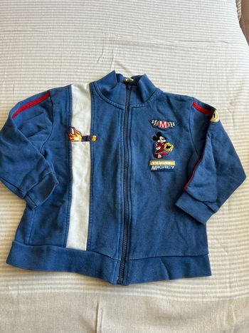 Veste Disney 5 ans 