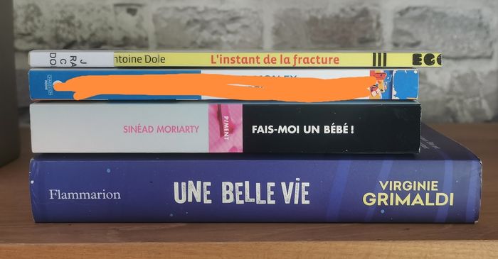 La vie est belle - Virginie Grimaldi - photo numéro 3