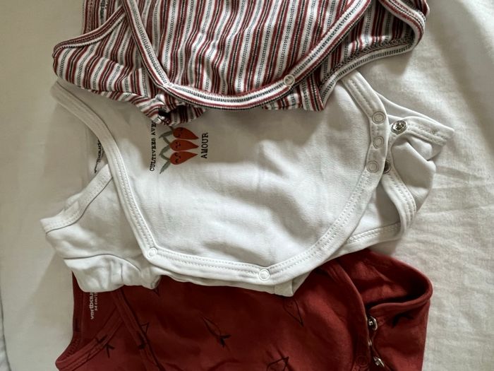 Lot de 3 bodys manche longue - photo numéro 5