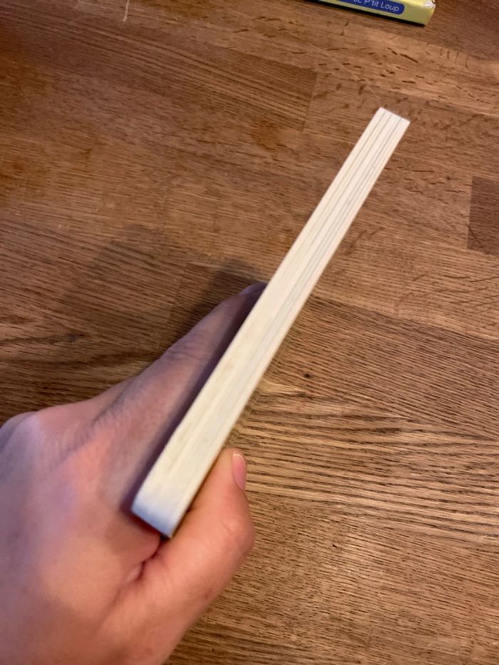 Livre cartonné P’tit Loup aimé sa nounou - photo numéro 4