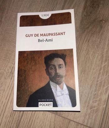 Livre « Bel Ami »
