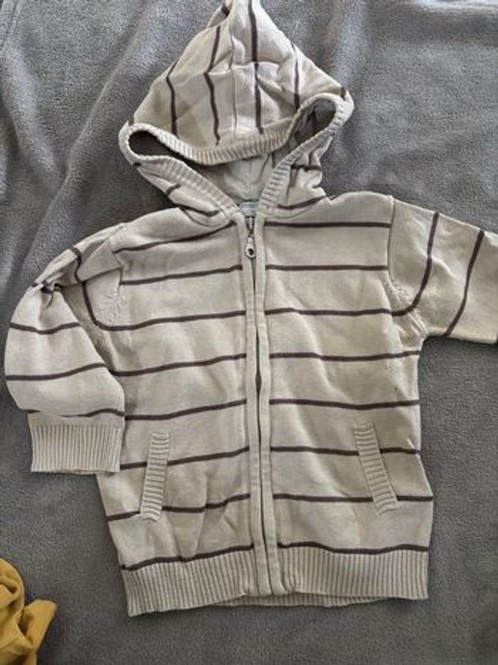 Vestes - photo numéro 3
