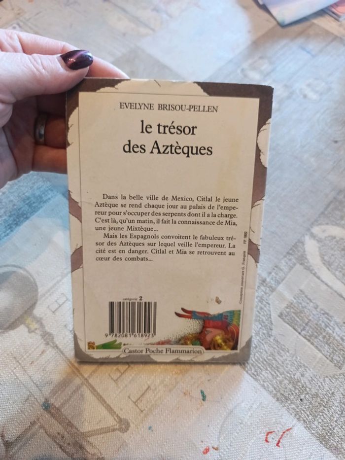 Le trésor des aztèques de Évelyne brissou-pellen - photo numéro 2