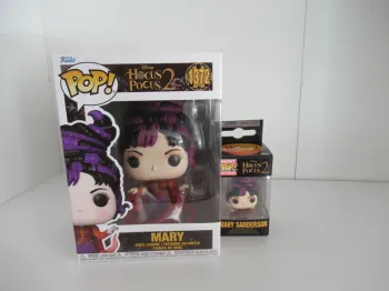 Hocus Pocus 2 Lot Pop + Pocket Pop Keychain  Mry Sanderson