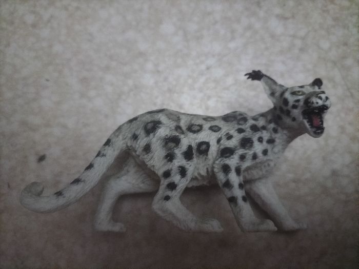 Lot animaux - photo numéro 6