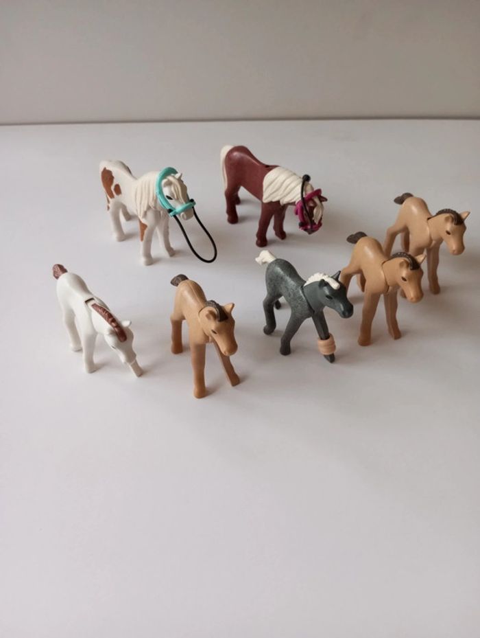 Playmobil lot poneys