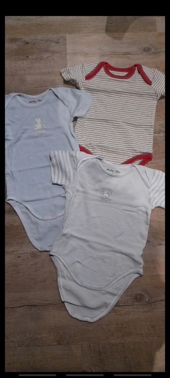 Lot de 3 bodies manches courtes