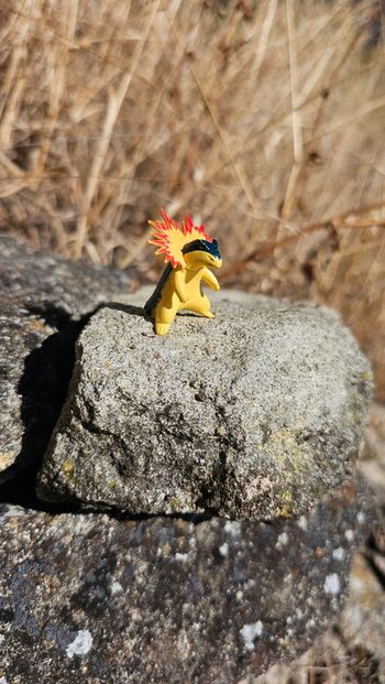 Super petite figurine Pokemon Nintendo typhlosion