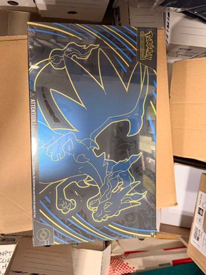 UPC dracaufeu mega - photo numéro 2