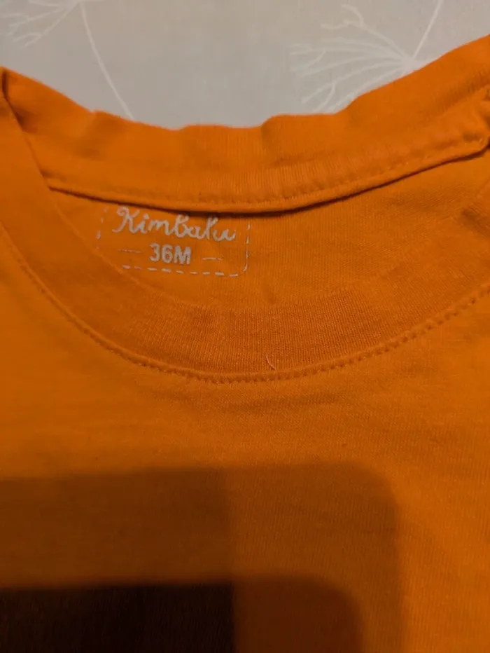 Lot de 6 t-shirts ML 2/3ans - photo numéro 6