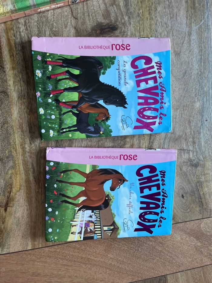 Lot livres thème chevaux/équitation - photo numéro 6