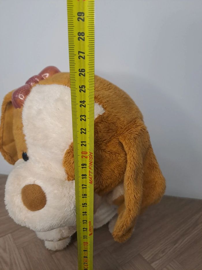 Chien - photo numéro 6