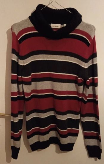 Pull col roulé à rayure violet noir