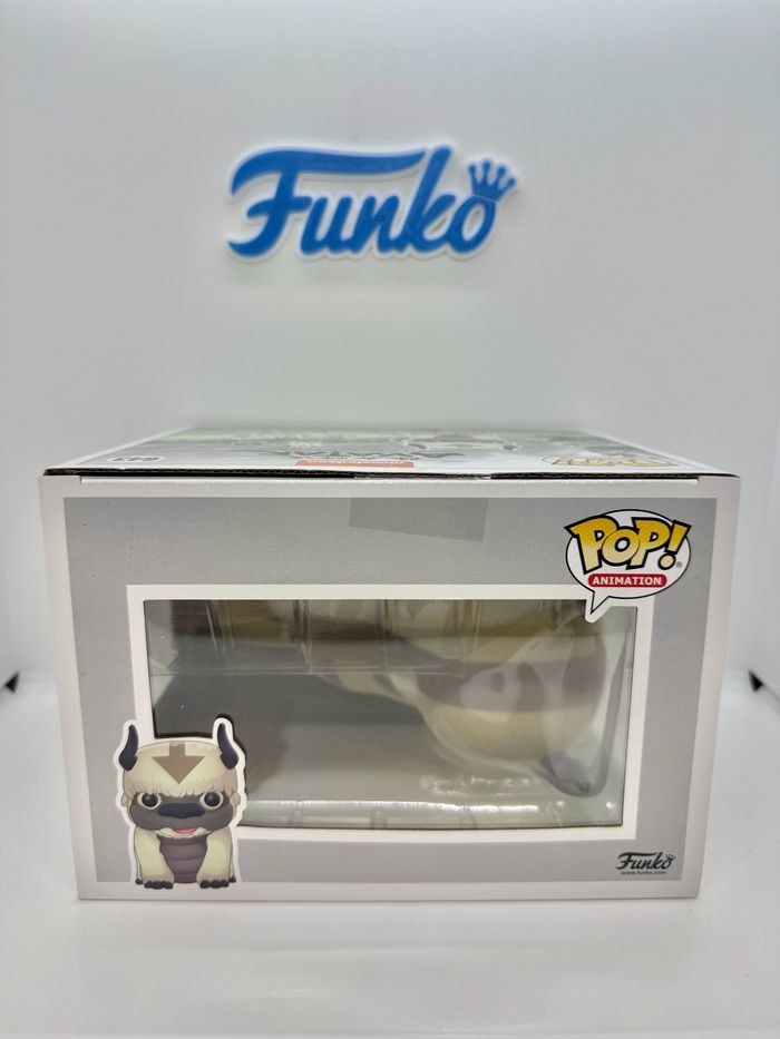 Funko Pop Avatar Appa 643 Flocked BoxLunch Exclusive 🇺🇸 - photo numéro 7