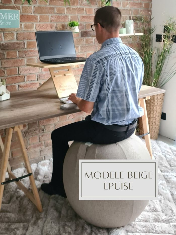 Ballon chaise de bureau ergonomique NEUF 4
modèles - photo numéro 5