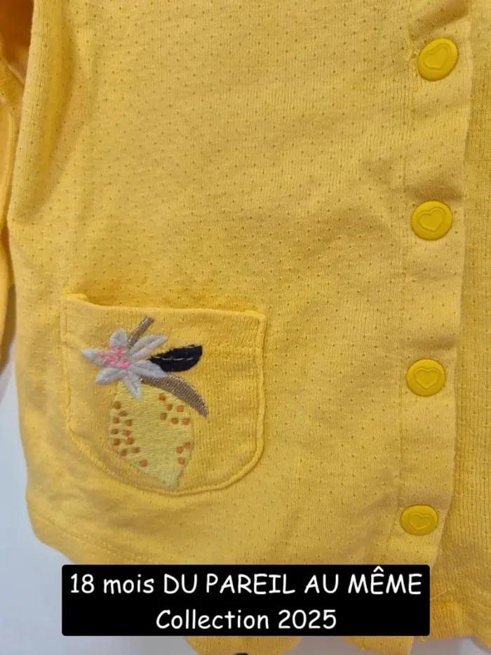 Collection 2025 Du pareil au même 18 mois 80 cm cardigan jaune gilet brodé - photo numéro 4