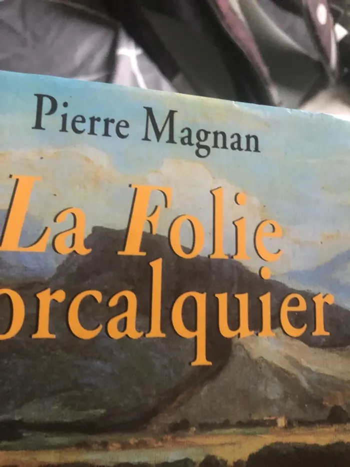 Livre la folie forcalquer 📕 - photo numéro 4