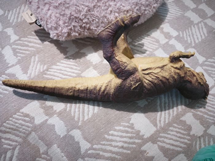 Dinausore - photo numéro 5