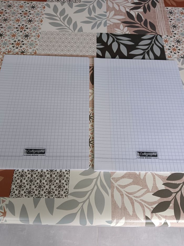 Lot de 2 cahiers 24x32 48 pages