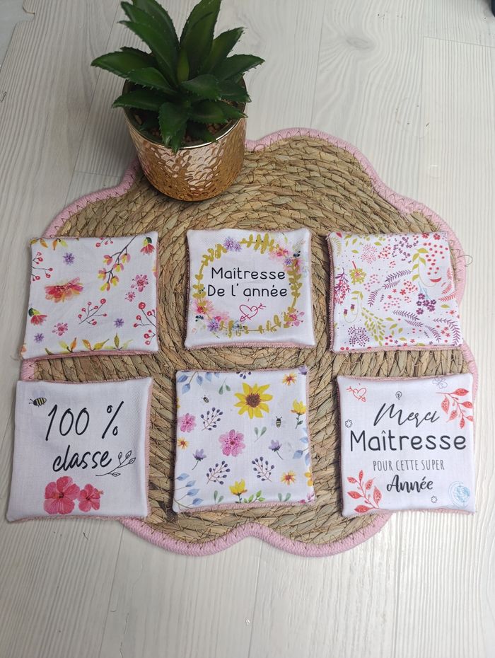Lingettes lavables maîtresse