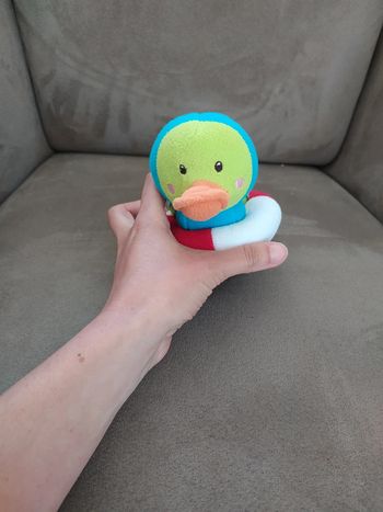 Petit canard à friction