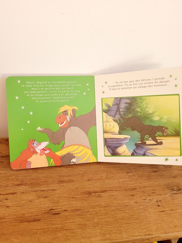 Le livre de la jungle Disney - photo numéro 2
