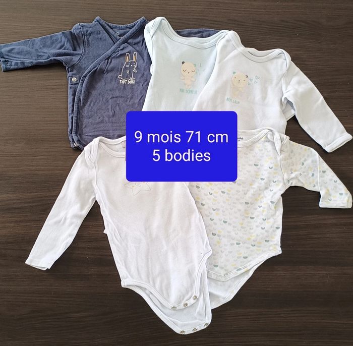5 bodies 9 mois 71 cm