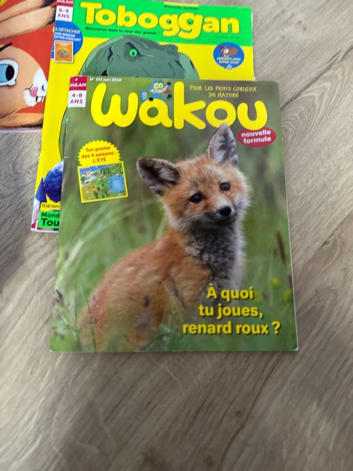 Lot de 5 magazines enfant - photo numéro 4