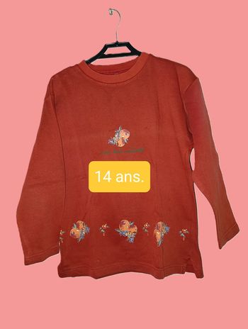 🍊Joli sweat brique. Fruits. 14 Ans 🍊