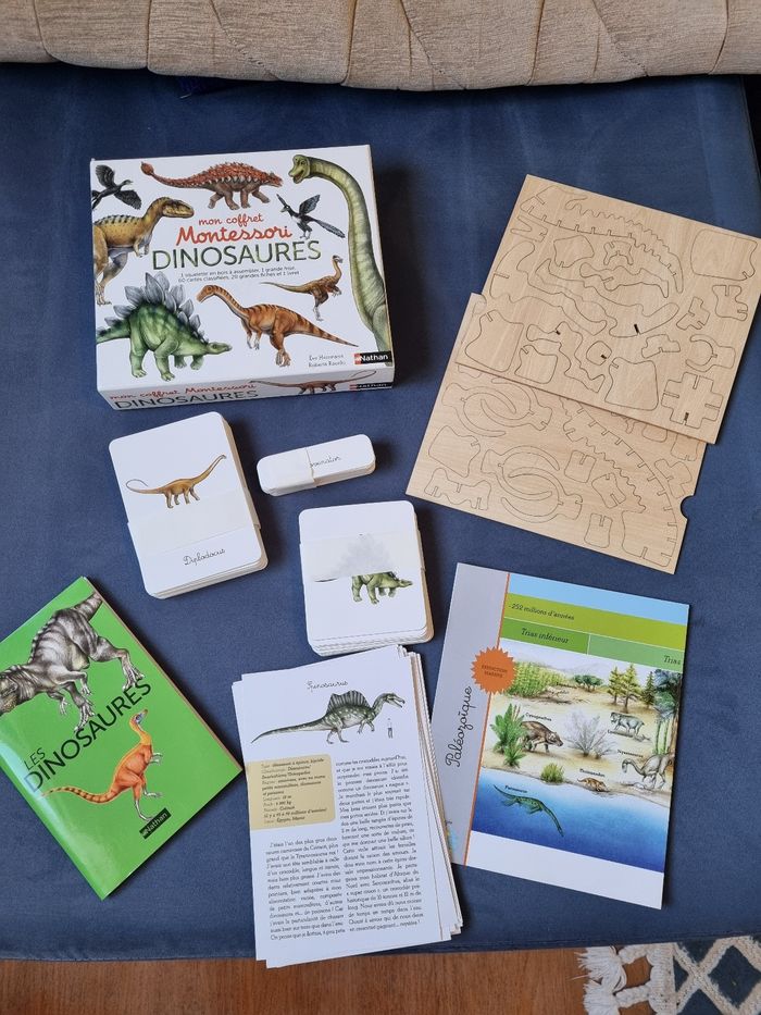 Coffret montessori dinosaures