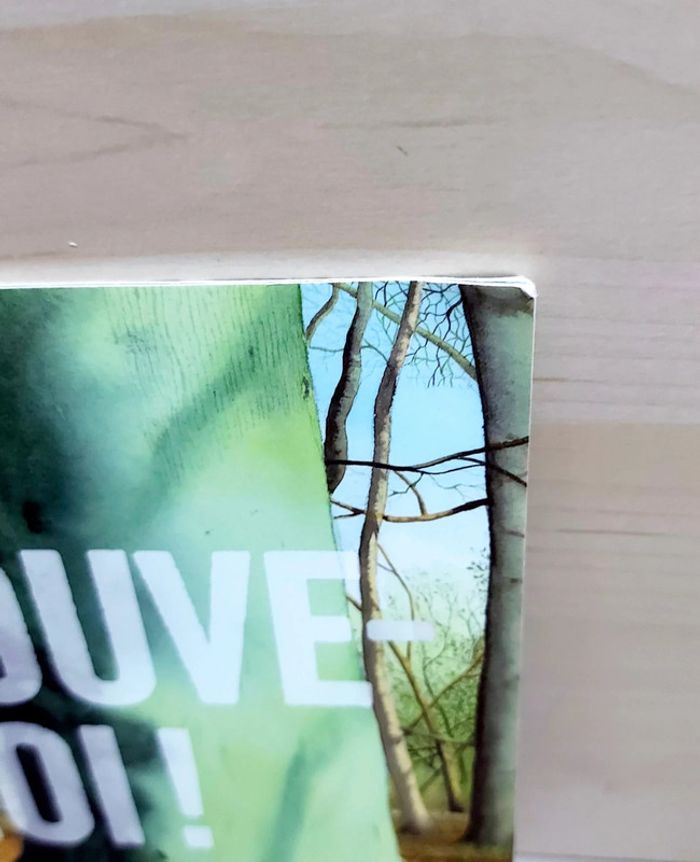 🌺 Livre (école des loisirs) : Retrouve moi - photo numéro 8