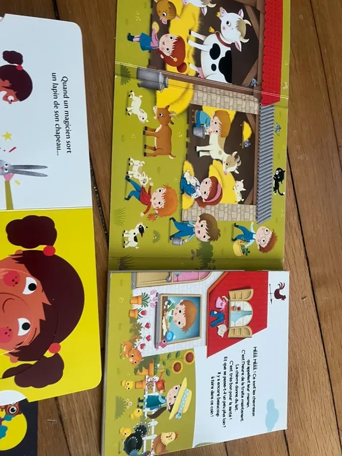 Lot 3 livres - photo numéro 8