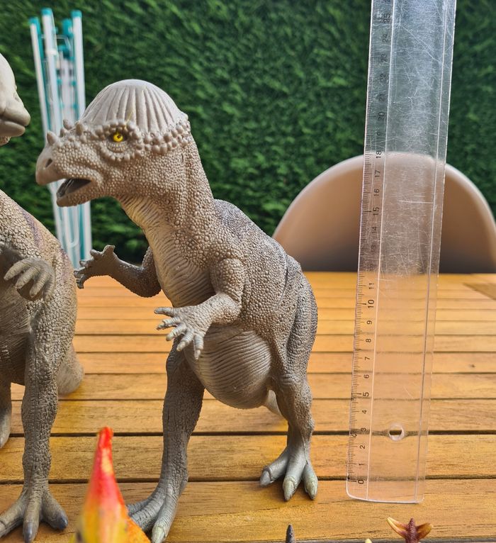 Dinosaures - photo numéro 5