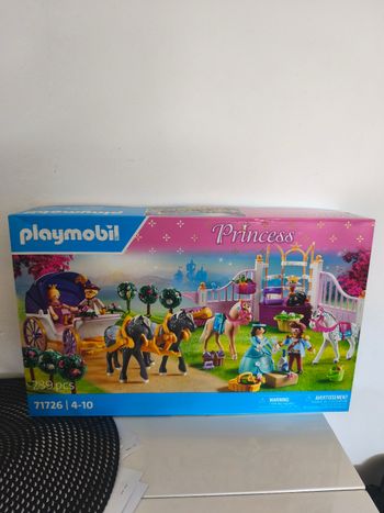 Playmobil princesse 
