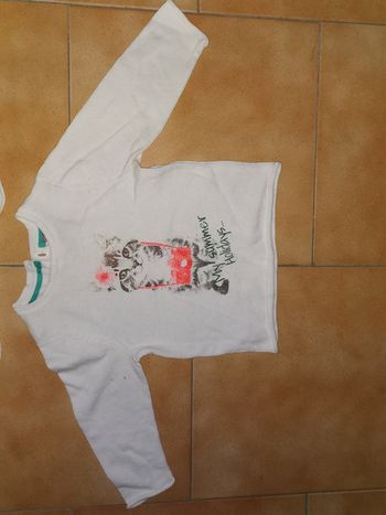 Pull chat orange 6mois