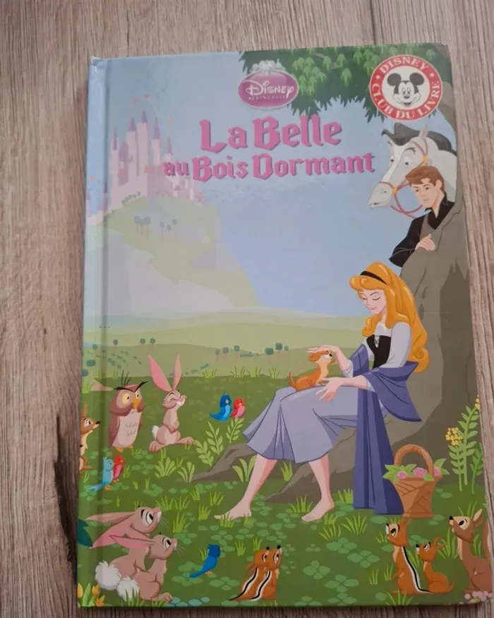 Livre  la belle  au  bois  dormant