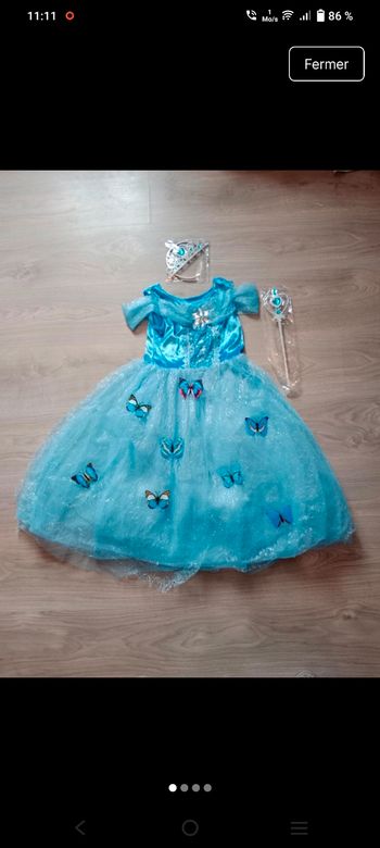 Déguisement princesse 