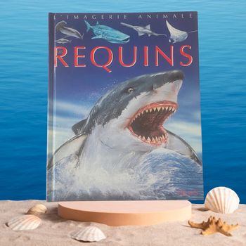 Livre sur les Requins NEUF 🦈