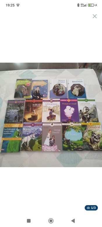 Lot livre collège et lycée