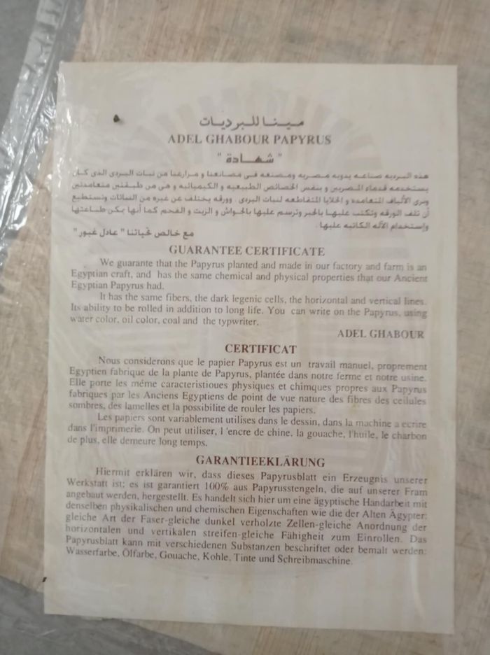 Papyrus certifié - photo numéro 7