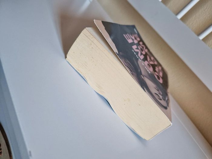 Livre romance - photo numéro 4