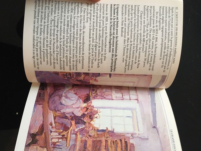 Livre : vie et mort des baleines - photo numéro 5