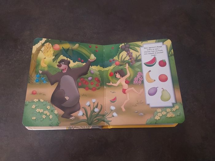 Livre Disney - photo numéro 2