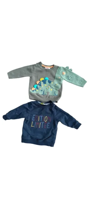 Lot de 2 pulls 6 mois – Très bon état