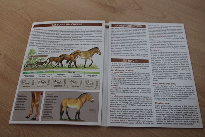 Lot 2 petits guides - photo numéro 2