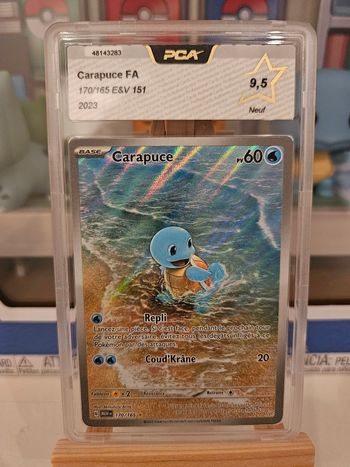 Carapuce 170 PCA 9.5