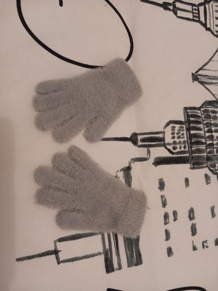 Vends Gants chauds