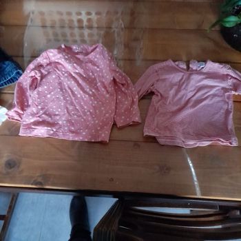 Lot de 2 t-shirts fille 24 mois