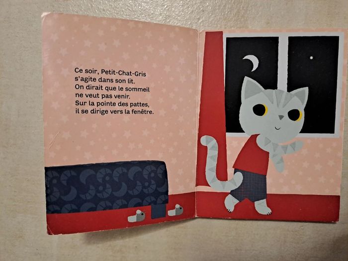 Petit chat gris découvre la nuit - photo numéro 2